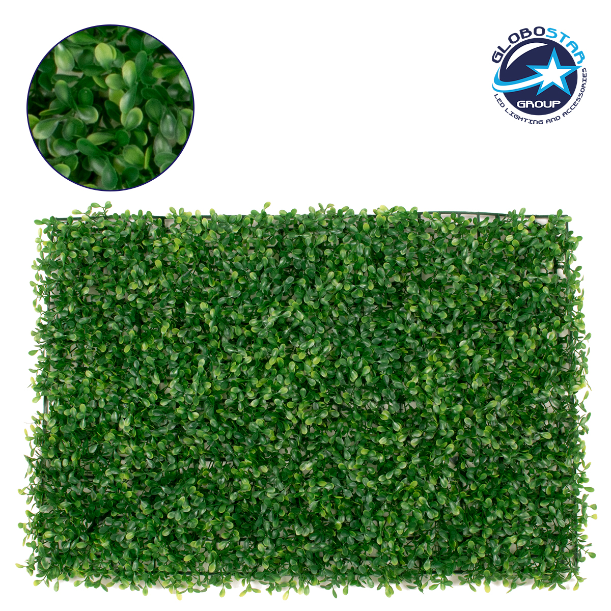 78417_01 GLOBOSTAR® BUXUS 78417 Τεχνητό Πάνελ Φυλλωσιάς / Κάθετος Κήπος Μικρόφυλλο Πυξάρι - Πράσινο - Μ60 x Π4 x Υ40cm - Image 1