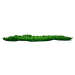 GLOBOSTAR® BUXUS 78417 Τεχνητό Πάνελ Φυλλωσιάς / Κάθετος Κήπος Μικρόφυλλο  Πυξάρι - Πράσινο - Μ60 x Π4 x Υ40cm - Image 2