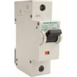 Αυτόματη ασφάλεια 1P C 100A 10kA - Image 2
