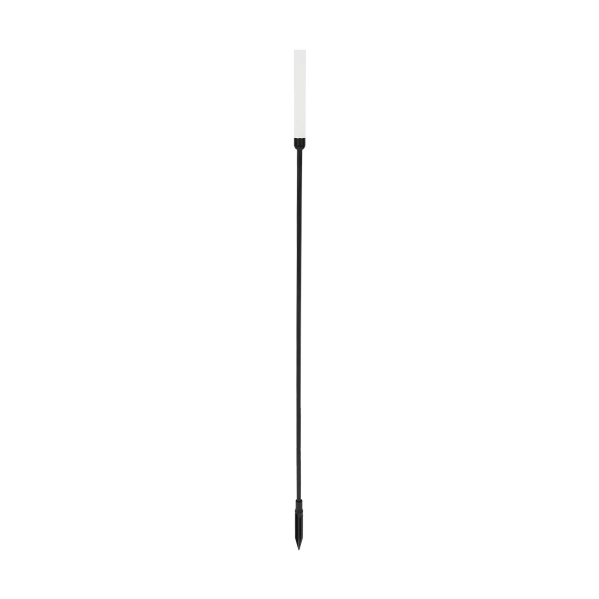 GLB-103-0006_01 GLOBOSTAR® REED GLB-103-0006 Φωτιστικό Κολωνάκι Κήπου με Καρφωτή Βάση LED 2W 180lm 360° DC 24V Αδιάβροχο IP65 Θερμό Λευκό 2700K - Sanan SMD Chip - Μαύρο Ματ - Μ2 x Π2 x Υ100cm - 3 Χρόνια Εγγύηση - Image 1