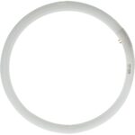 Λάμπα Φθορίου Κυκλική T9 40W G10q 6500K - Image 2