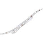Tαινία LED Premium 4.8W 12V 3000K 373lm IP33