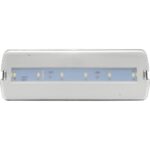 LED Φωτιστικό ασφαλείας 1W 6500K 100lm 239x80mm