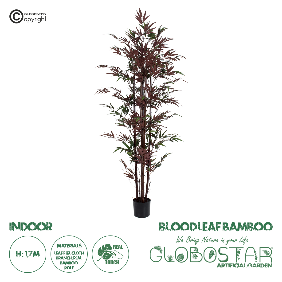 20039_1 GloboStar® Artificial Garden BLOODLEAF BAMBOO 20039 Τεχνητό Διακοσμητικό Φυτό Αιματόφυλλο Μπαμπού Υ170cm - Image 1
