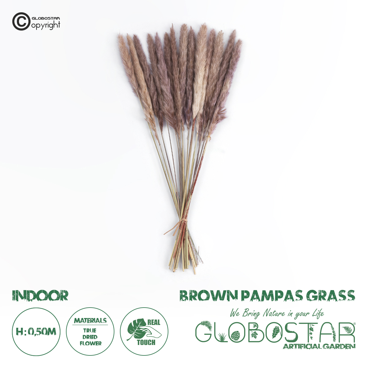 21215_1 GloboStar® Artificial Garden REAL DRIED BROWN PAMPAS GRASS BUNCH 21215 Αποξηραμένο Διακοσμητικό Μπουκέτο Pampas Kάφε Y50cm - Σετ 14 τμχ - Image 1